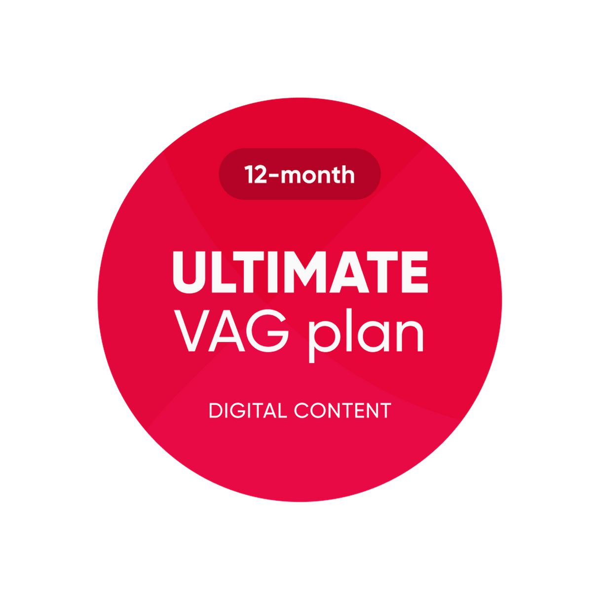 OBDeleven | Ultimativer VAG-Plan | Software-Lizenz