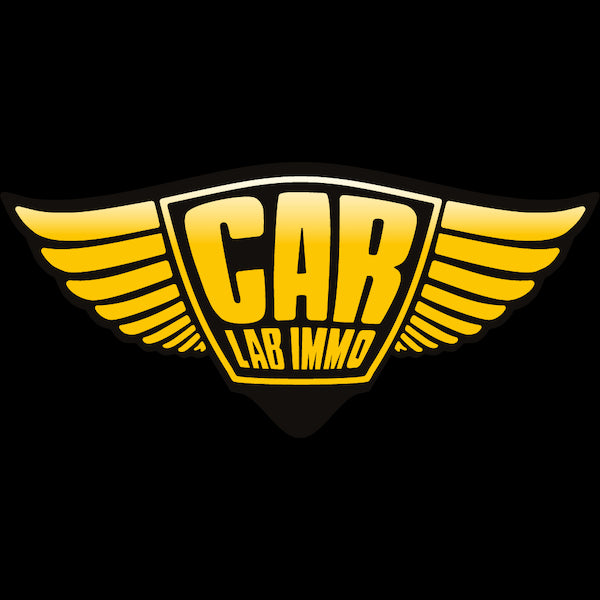 Julie RENAULT NISSAN | IMMO OFF & ESL/ELV Emulator