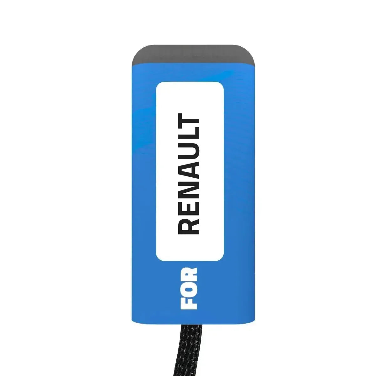 Renault AdBlue (SCR) Emulator Euro 5 Lastkraftwagen